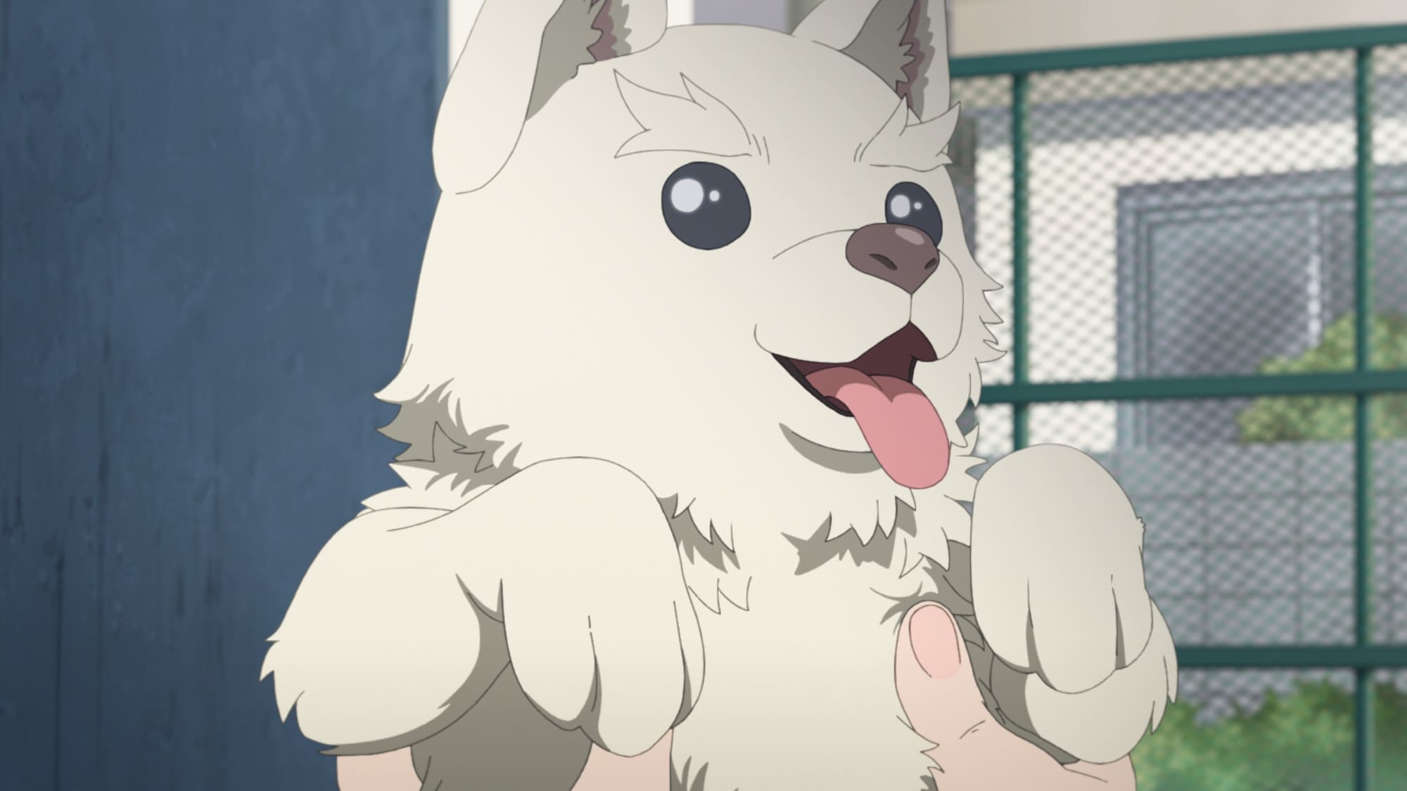 【第9話】笑顔のたえない職場です。 9話 散歩で見つけたお宝です。