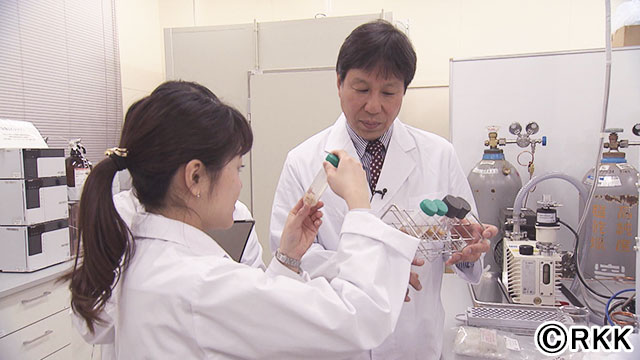 熊本のベンチャーが作った“植物肉”。代替肉と期待される開発現場に注目
