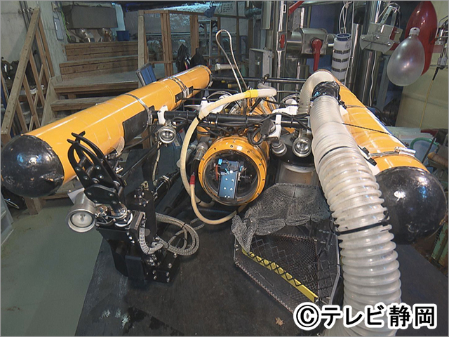 藤田ニコルが興味津々！「爆笑問題の深海WANTED」で沖縄＆駿河湾を最新マシンで探査