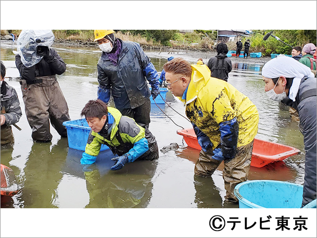 フジテレビ「どうぶつ王国」坂上忍の“池の水”をテレ東がぜんぶ抜く！