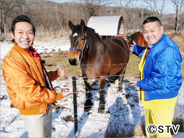 ブギノウギノリばんえい競馬デビューなるか！ 能力検査にカメラが密着