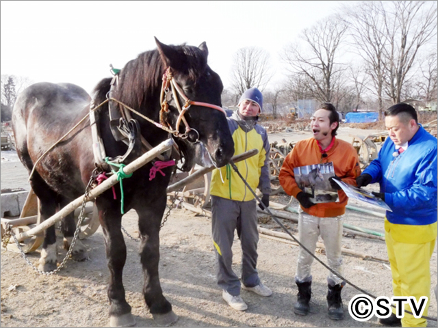 ブギノウギノリばんえい競馬デビューなるか！ 能力検査にカメラが密着