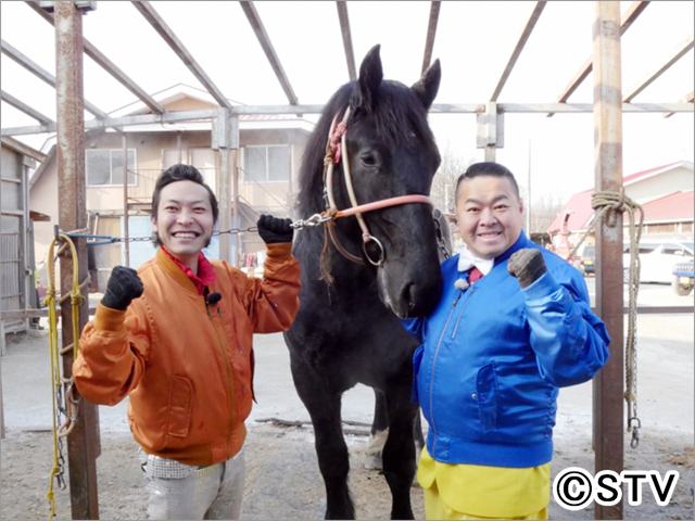 ブギノウギノリばんえい競馬デビューなるか！ 能力検査にカメラが密着