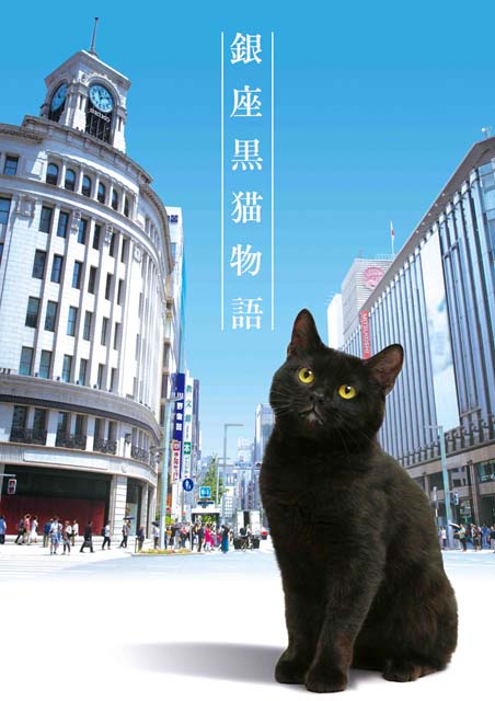 世界展開決定！「銀座黒猫物語」に吉沢悠、秋元才加、矢作穂香、竹財輝之助、矢野浩二らが集結。黒猫の声は山寺宏一