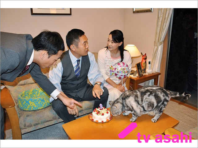「捜査一課長」愛猫・ビビが9歳に。内藤剛志、床嶋佳子、ナイツ・塙らがケーキでお祝い