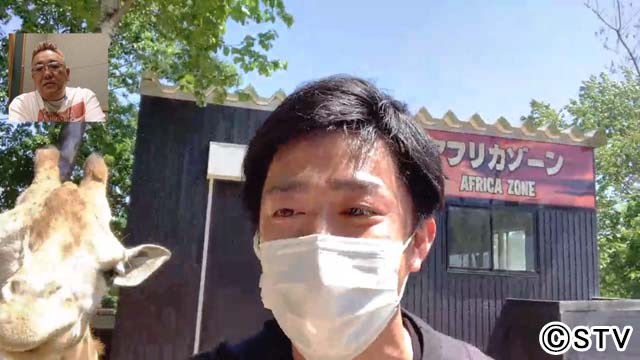 サンドウィッチマンがリモート中継で札幌の動物園を満喫！