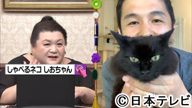 “猫好き”マツコが大興奮！ 話題の猫たちが大集合