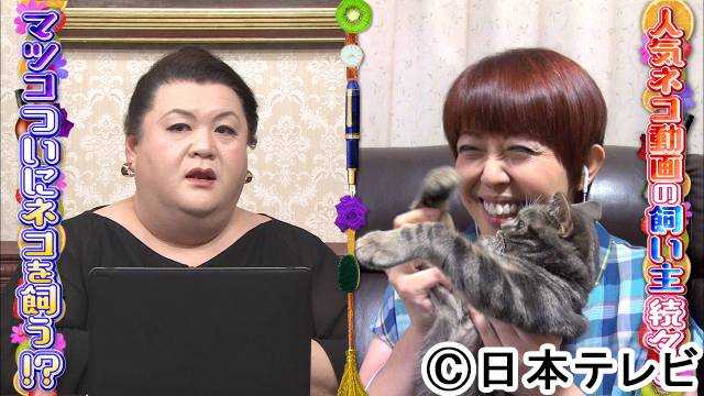 “猫好き”マツコが大興奮！ 話題の猫たちが大集合