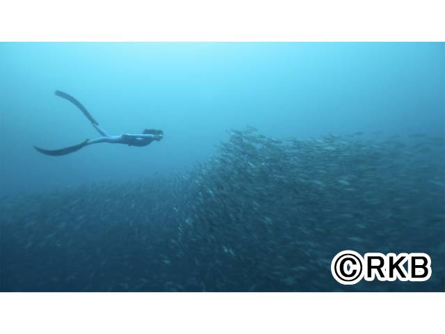 “水族表現家”二木あい、玄界灘へ。 福岡の海でプラスチックごみ問題の実態に迫る