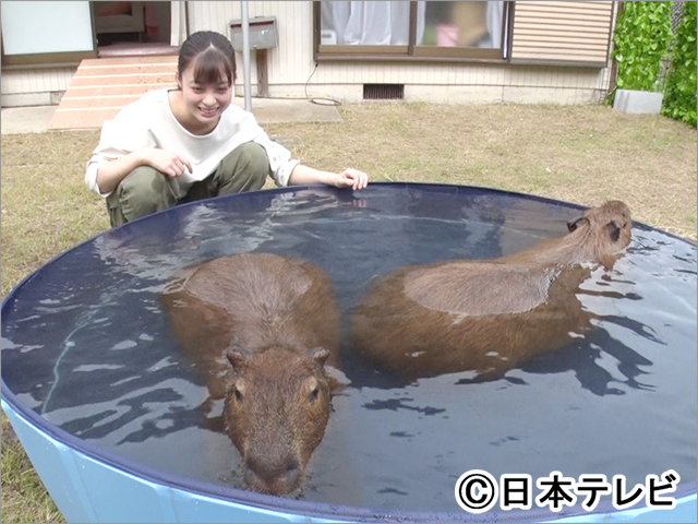 橋本環奈、那須雄登らが相葉雅紀MCの「I LOVE みんなのどうぶつ園」で動物たちの生態を追う！