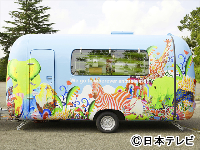 橋本環奈、那須雄登らが相葉雅紀MCの「I LOVE みんなのどうぶつ園」で動物たちの生態を追う！