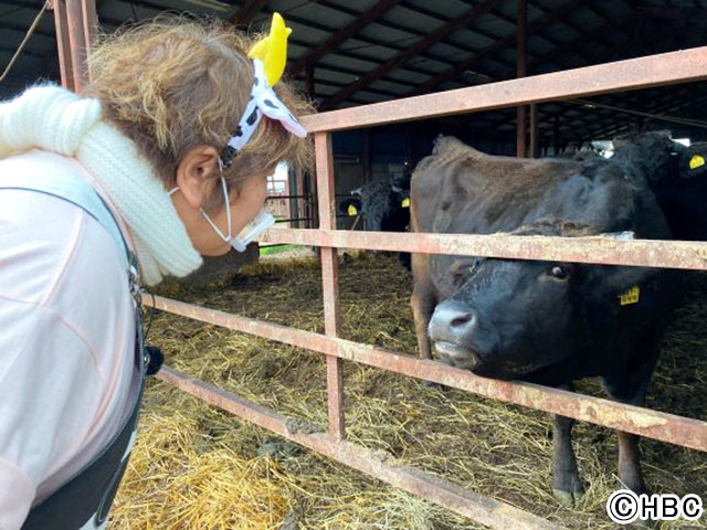 石ちゃんが十勝和牛に「まいうー」！“いい肉の日”に北海道で特番