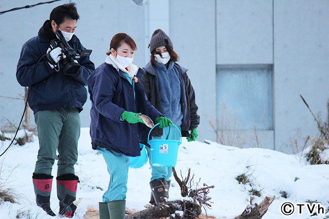 高橋みなみが札幌市円山動物園の1日飼育員に！「70のヒミツ」に迫る