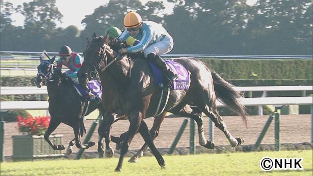 完全保存版!! 2020年競馬界で起こった奇跡のレースの数々をフルサイズで振り返る！