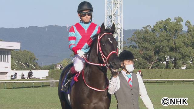 完全保存版!! 2020年競馬界で起こった奇跡のレースの数々をフルサイズで振り返る！