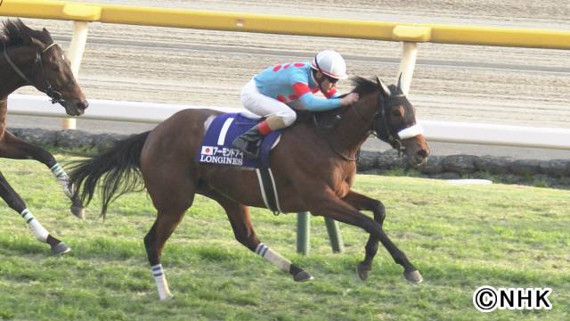 完全保存版!! 2020年競馬界で起こった奇跡のレースの数々をフルサイズで振り返る！