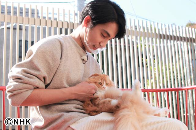 中村蒼が「もふもふモフモフ」で犬や猫っぽい「エール」出演者を告白!?