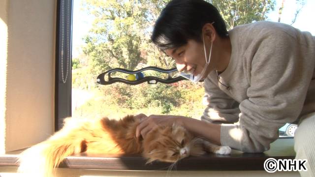 中村蒼が「もふもふモフモフ」で犬や猫っぽい「エール」出演者を告白!?