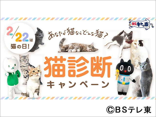 中川翔子、岩井勇気らネコ好きが集合。 感謝と愛を語り合う！