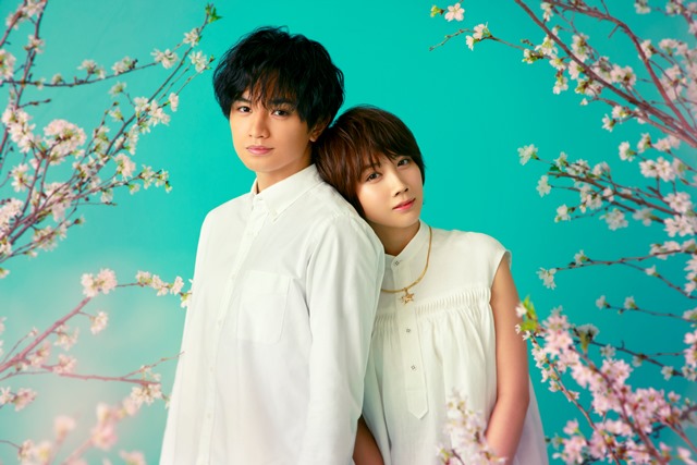 中島健人＆松本穂香が「桜のような僕の恋人」で共演。美しくもはかないラブストーリー