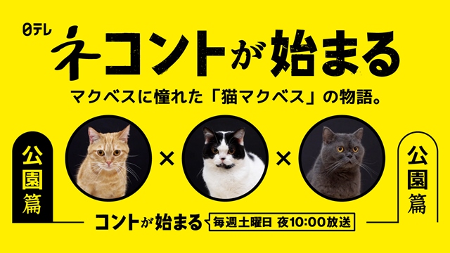 菅田将暉＆神木隆之介＆仲野太賀、お笑いコンビ・マクベスが視聴者からの質問にガチ回答する特別企画がスタート