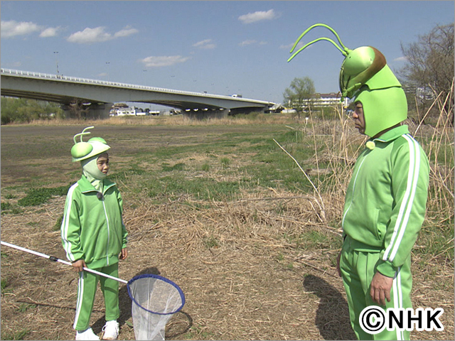 再 カマキリ 放送 セミ 先生 香川照之の昆虫すごいぜ！ 8時間目「セミ」