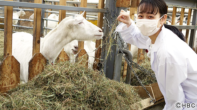 吉田類が春ウニを満喫！北海道・日高をぶらりグルメ旅