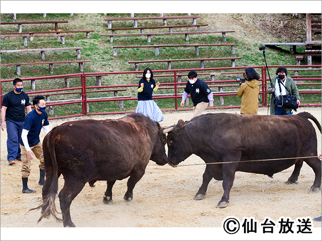 サンドウィッチマンの終着駅シリーズ第4弾！ 井森美幸と岩手県久慈市を満喫