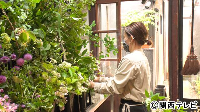 野山に咲く花の専門店を営む西山美華に密着。赤江珠緒も驚きの「花の愛し方」とは？