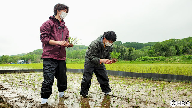 「ブラキタ」／NORD「レッツ！産直クッキング」蘭越町で田植え