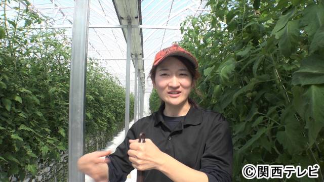 東京の住宅街の真ん中でトマトを地産地消する農家「ネイバーズファーム」代表・川名桂氏に密着！