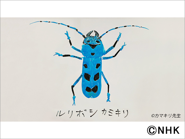 「香川照之の昆虫すごいぜ！」今年の夏は“カミキリムシ”を捜索。「奥の深さを見てほしい」