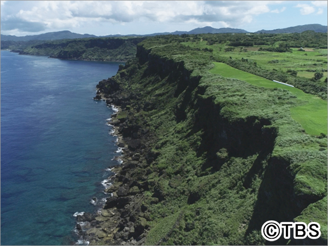 世界遺産に登録決定！ 奄美大島、徳之島、沖縄島北部及び西表島の魅力を紹介