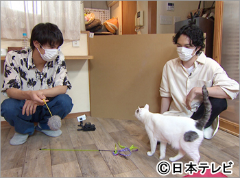 I LOVE みんなのどうぶつ園