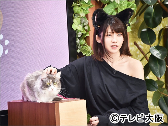 えなこ＆さらば・森田がおくる テレビ業界初のネコ特化型バラエティー「猫しか勝たん」がスタート！