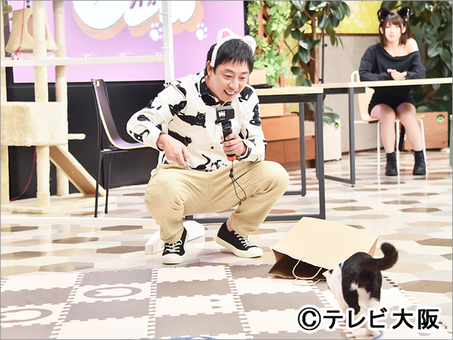 えなこ＆さらば・森田がおくる テレビ業界初のネコ特化型バラエティー「猫しか勝たん」がスタート！