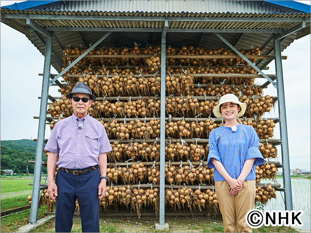 ブラタモリ Tvガイド ドラマ バラエティーを中心としたテレビ番組 エンタメニュースなど情報満載