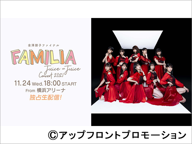 Juice=Juice・金澤朋子の卒業コンサートが生配信決定！