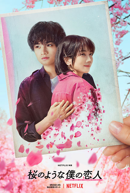 Netflix映画「桜のような僕の恋人」
