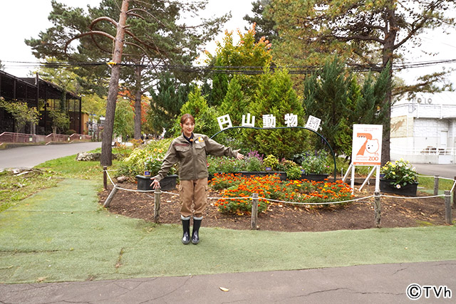 土曜旅館「もっと円山動物園！赤ちゃん＆ご長寿さん大集合」／高橋みなみ