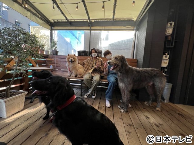 実は“イヌ派”の北村匠海、相葉雅紀＆珍犬種とのお散歩ロケでメロメロ！