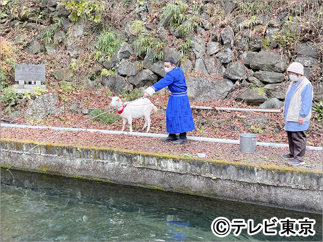 千鳥・大悟、ヤギと一緒に前代未聞の珍道中。 三宅健が絶賛！「見どころはヤギのかわいさと時々、大悟」