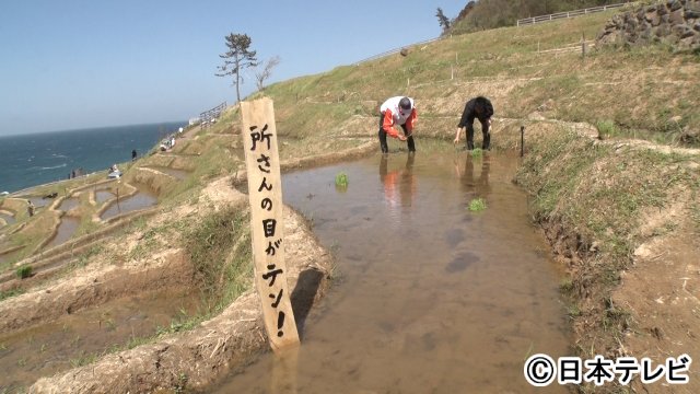 所ジョージ、2年連続の環境省主催アワード受賞で「去年、『次もちょうだい！』と言ったかいがあった（笑）」