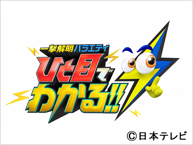 一撃解明バラエティ ひと目でわかる!!