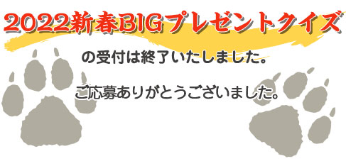 4媒体連合★お正月超特大号恒例の「2022新春BIGプレゼントクイズ」に答えて豪華賞品を手に入れよう！