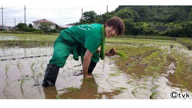 【猫ひた新年企画】“猫ひ田グリーンズ”の木村魁希、植村颯太、糠信泰州、朝田淳弥からメッセージ！