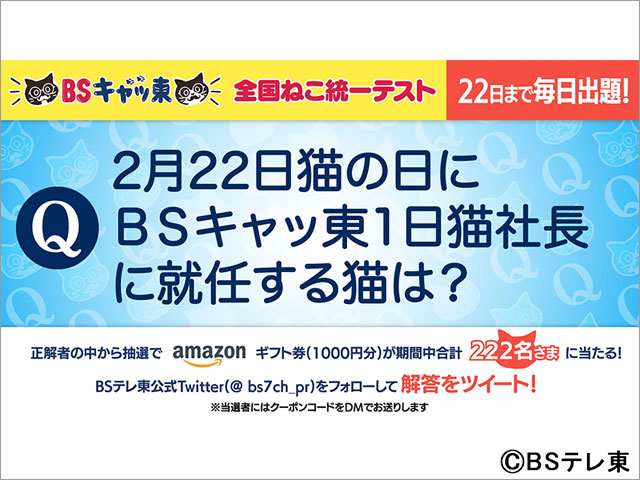 BSテレ東が今年も「猫の日」限定“BSキャッ東”に改名！ 800年ぶりに「2」の数字が多い特別な年