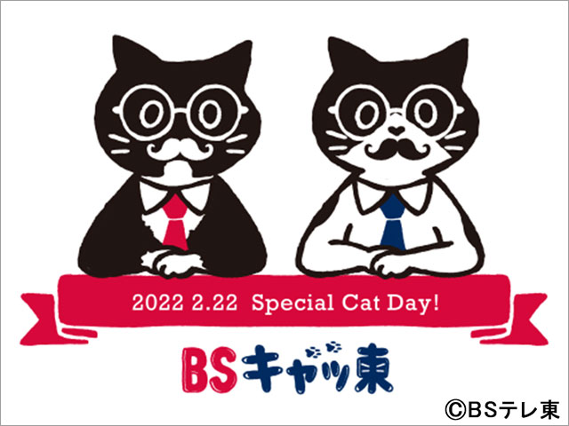 BSテレ東が今年も「猫の日」限定“BSキャッ東”に改名！ 800年ぶりに「2」の数字が多い特別な年