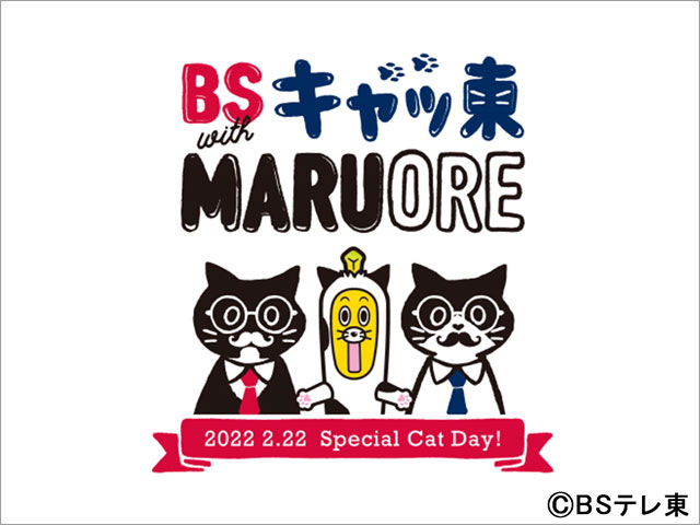 BSテレ東が今年も「猫の日」限定“BSキャッ東”に改名！ 800年ぶりに「2」の数字が多い特別な年