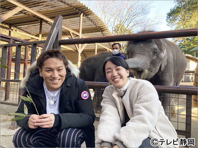 狩野英孝、ゾウのサービス精神に感激！“動物さま”に学ぶ目からうろこの処世術